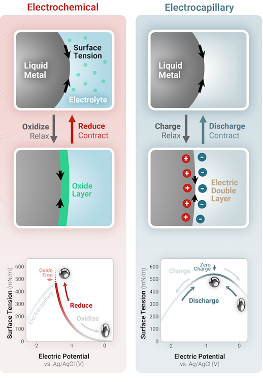Liao et al., Advanced Materials (2023)
