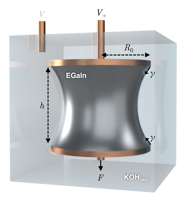 Liao et al., Soft Matter (2021)