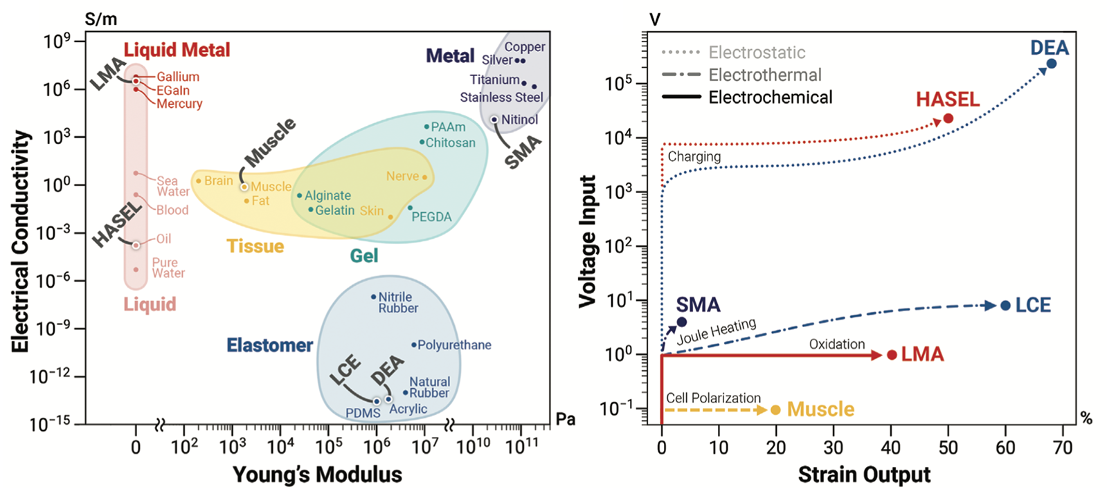 Liao et al., Advanced Materials (2023)