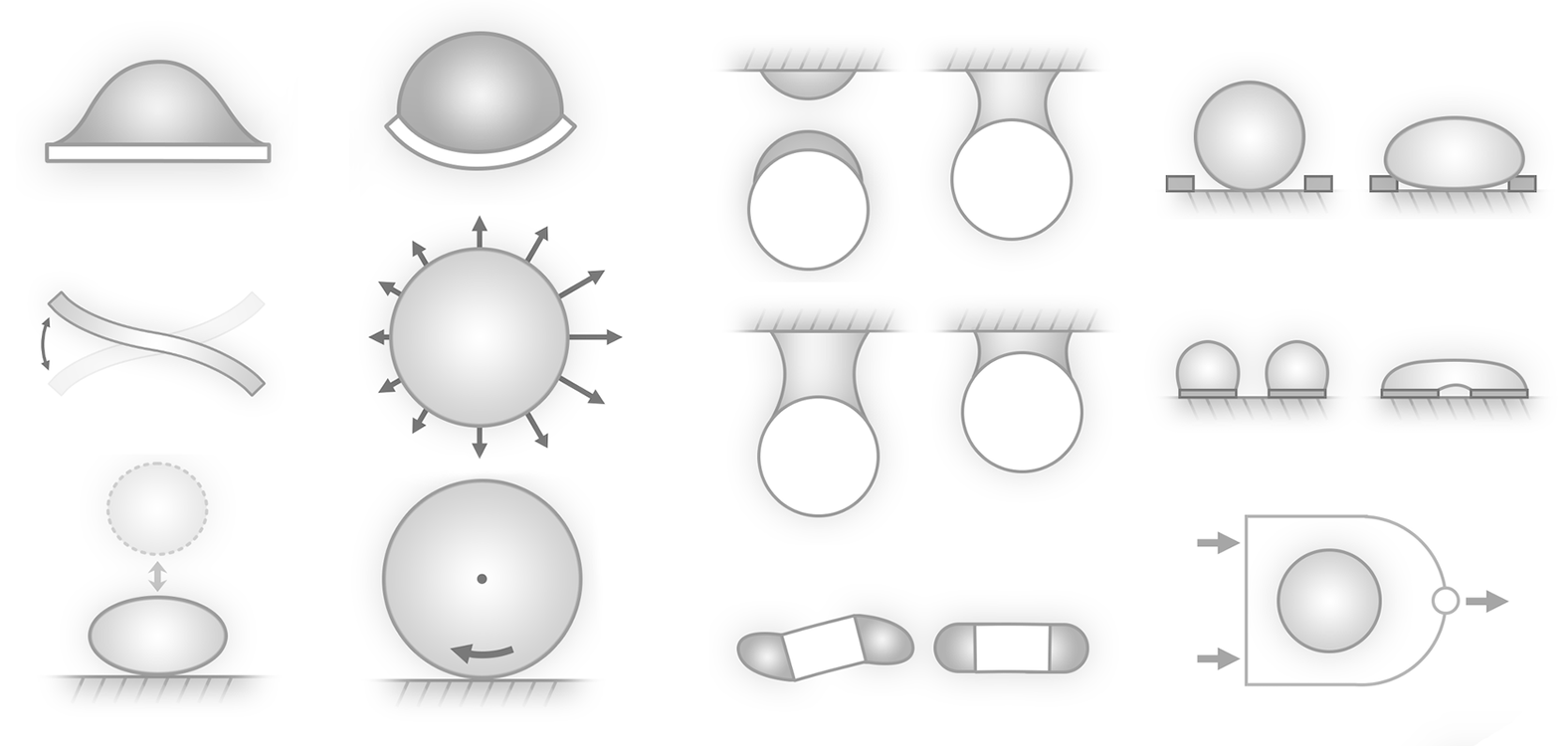 Liao et al., Advanced Materials (2023)