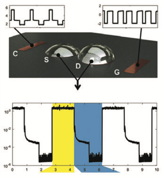 Wissman et al., Advanced Science (2017)