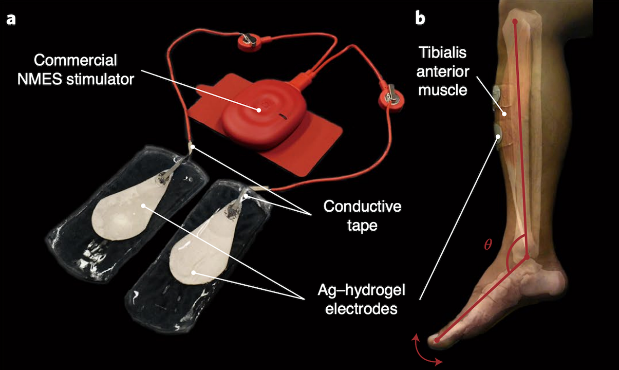 Ohm et al., Nature Electronics (2023)