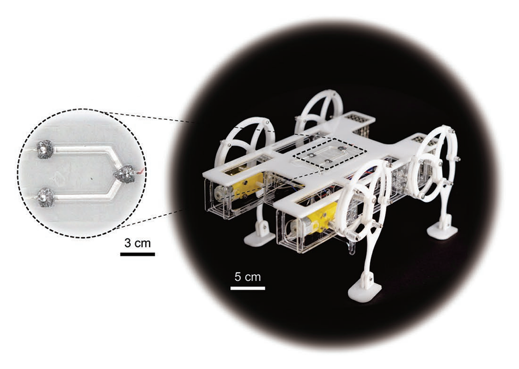 Ohm et al., Advanced Materials (2023)