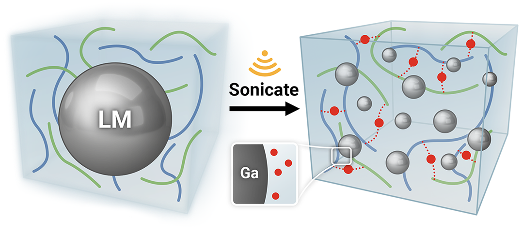 Zhang and Liao et al., Advanced Functional Materials (2023)