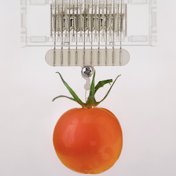 Liao et al., Advanced Materials (2022)