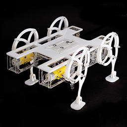 Ohm et al., Advanced Materials (2023)